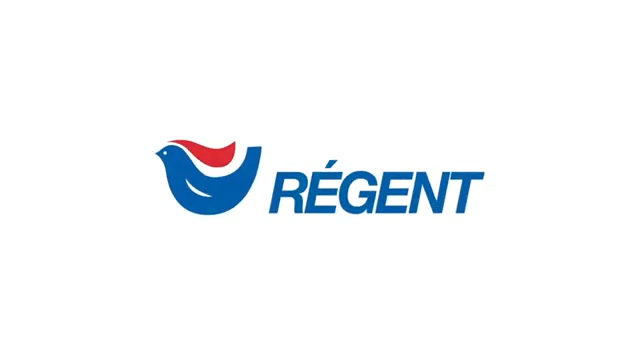 Regent - Termo elétrico 100 L, aquecedor de água elétrico de 100 litros,