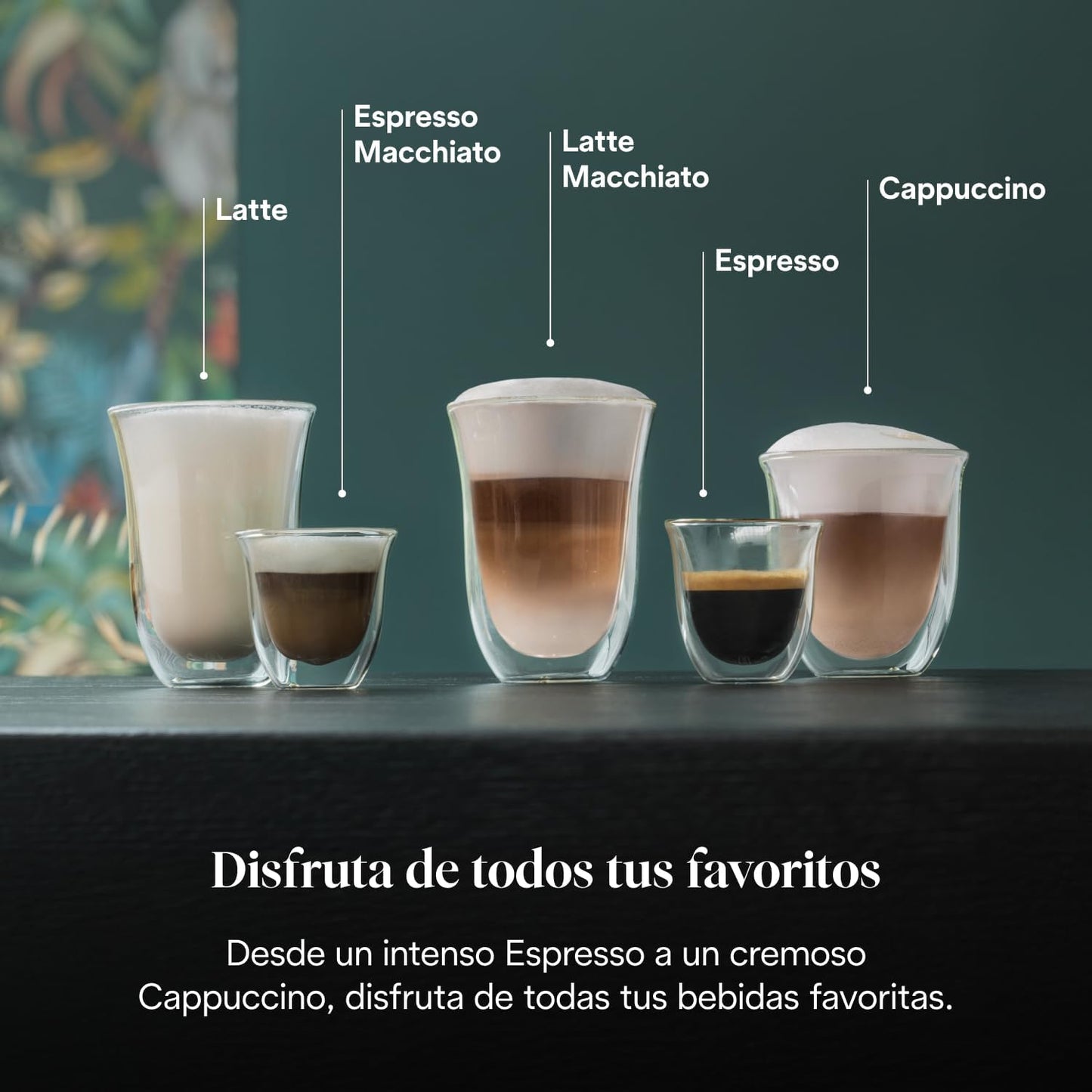 De'Longhi Dedica - Máquina de café com bomba de aço inoxidável para café moído ou monodose