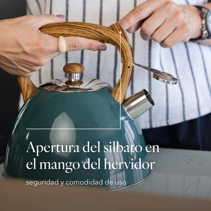 FLORINA 5C1092 Chaleira de água, aço inoxidável, verde escuro mate