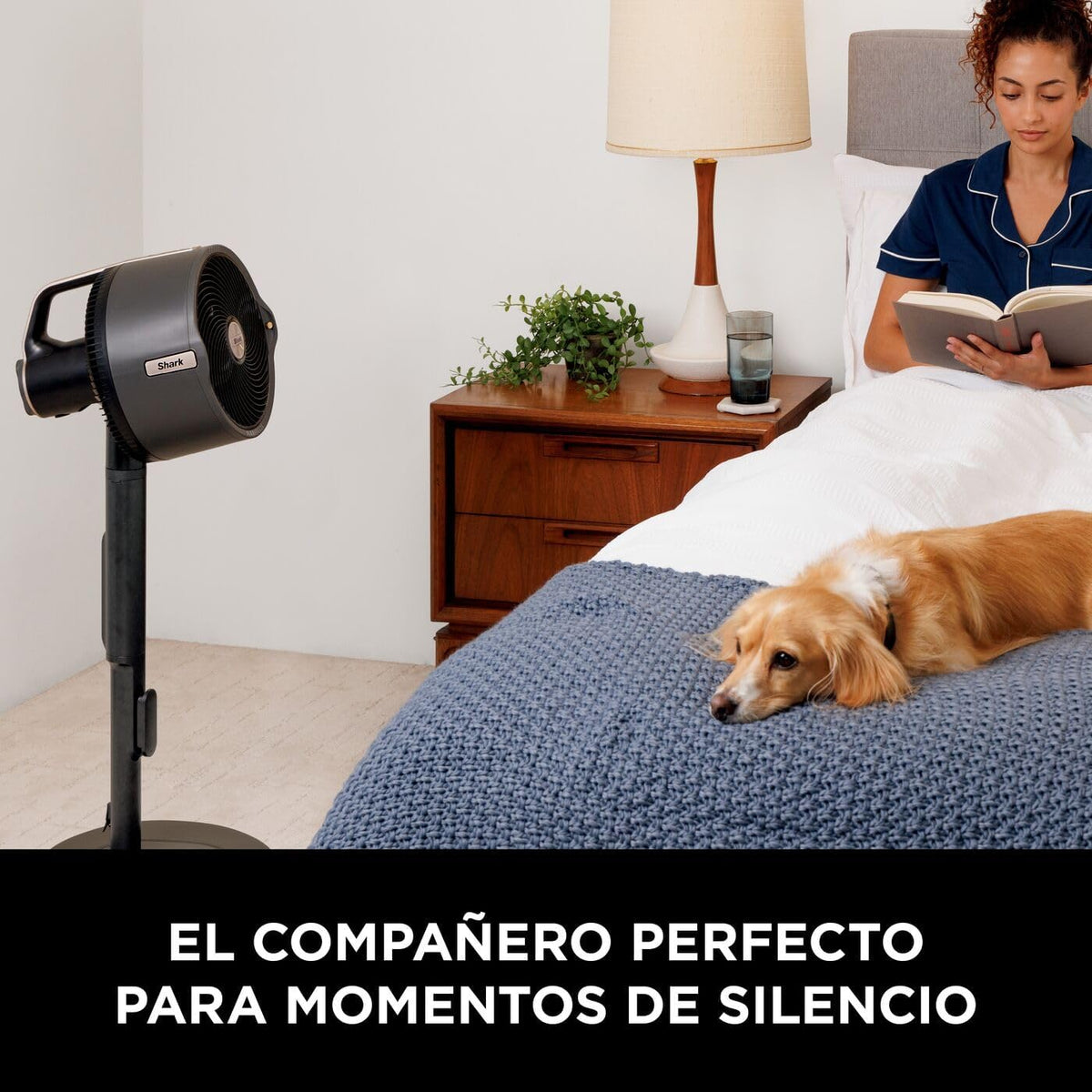 Shark FlexBreeze Pro Mist Ventoinha sem cabo, cinzento carbono, FA300EU | Interior e exterior, com decalque, depósito portátil, alcance de 20 m, pedestal ou mesa, 5 velocidades, controlo remoto
