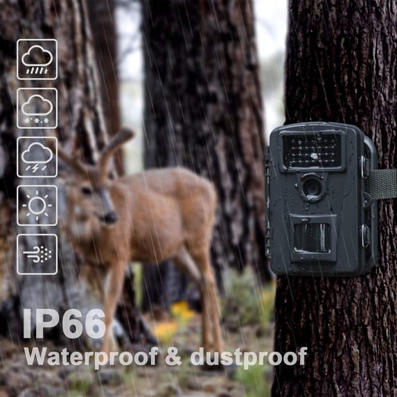 Câmera de trilha CooLife 1080P 16MP Câmera de caça - Velocidade de gatilho 0,2s Ângulo 90° Visão noturna 65 pés - IP66 à prova d'água - Com cartão de 32 GB